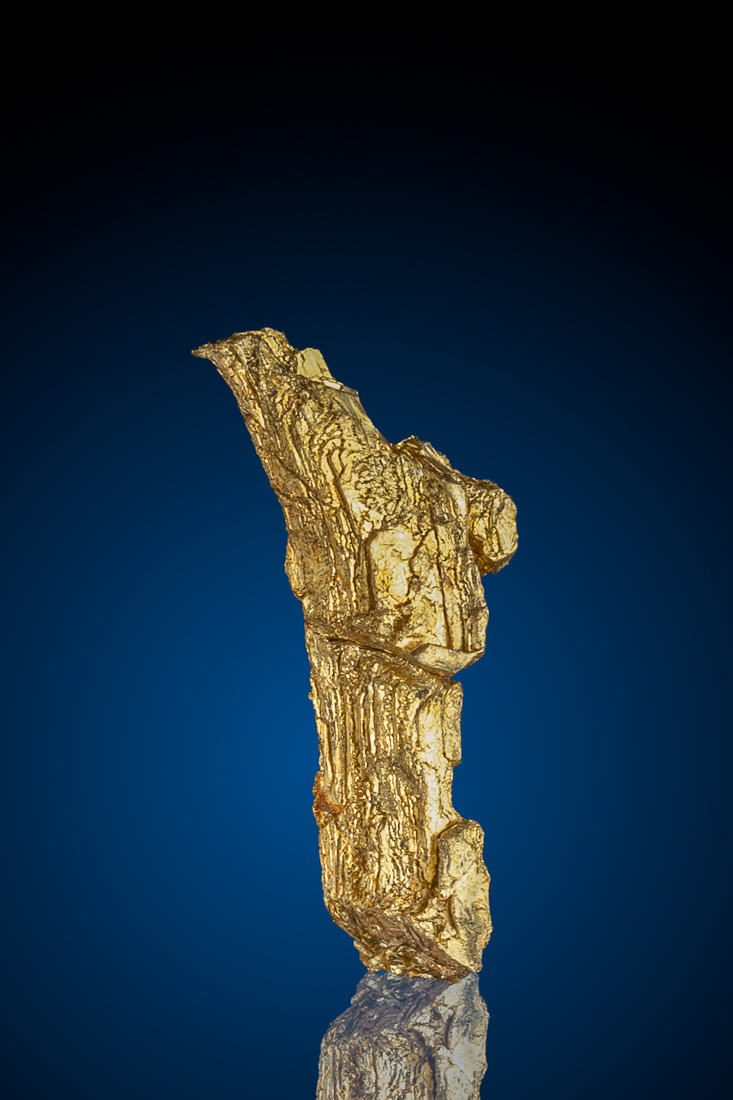 (image for) Outstanding Crystallized Gold from the Round Mountain Gold Mine, NV - 2.63 grams